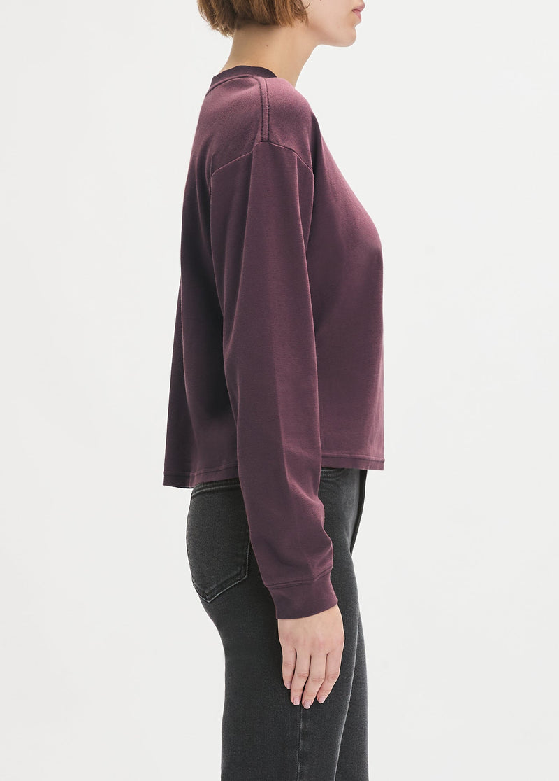 burgundy dahlia